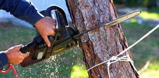 Best Utility Line Clearance  in Delphi, IN